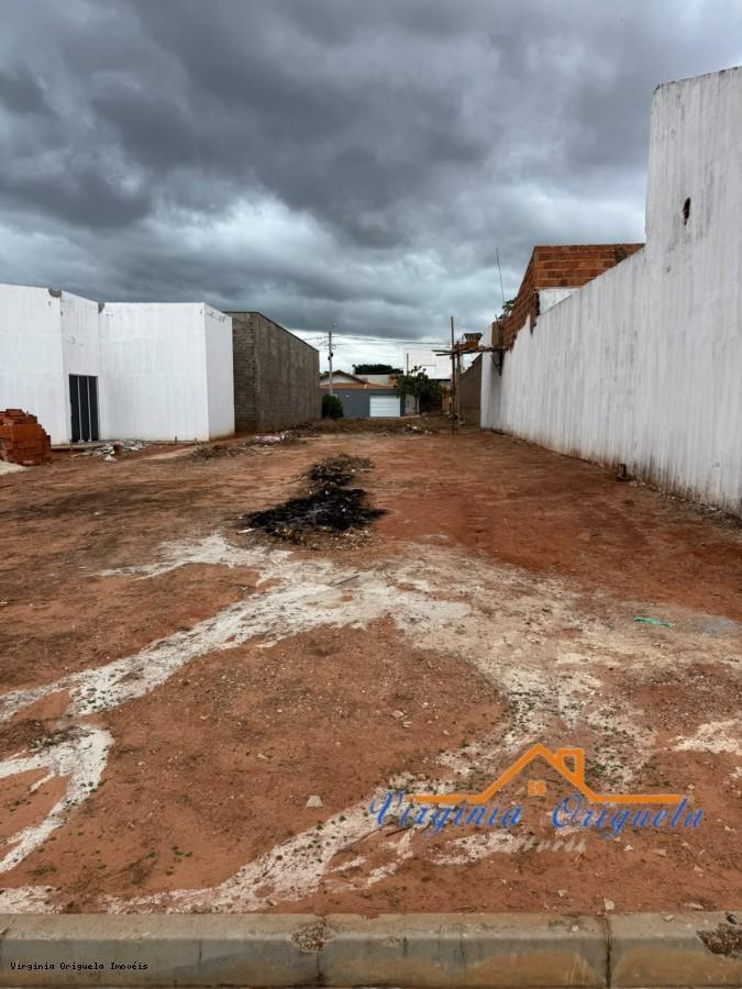 imagem-miniatura