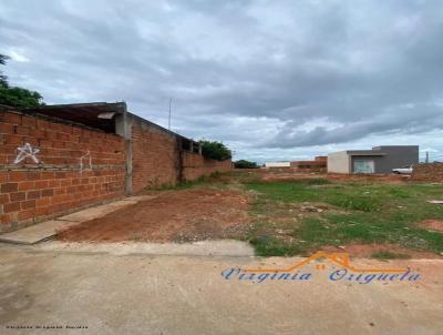 imagem-miniatura