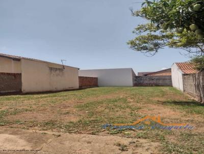 Terreno para Venda, em Penpolis, bairro Residencial Regina Clia