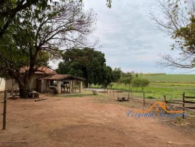 Chcara para Venda, em Penpolis, bairro rea Rural de Penpolis, 2 dormitrios, 1 banheiro
