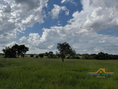 rea Rural para Venda, em Penpolis, bairro rea Rural de Penpolis