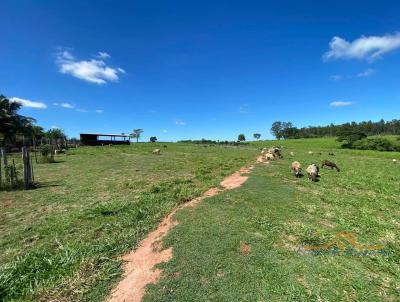 rea Rural para Venda, em Penpolis, bairro rea Rural de Penpolis