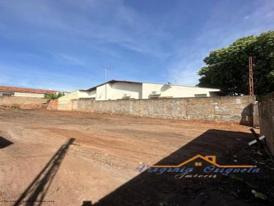 Terreno para Venda, em Birigui, bairro Centro