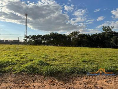 Terreno para Venda, em Penpolis, bairro Residencial Novo Mundo