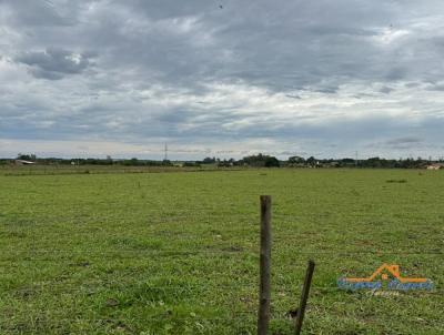 rea Rural para Venda, em Penpolis, bairro rea Rural de Penpolis