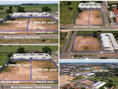 Terreno para Venda, em Penpolis, bairro Jardim Guanabara
