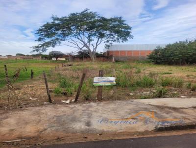 Terreno para Venda, em Pen�polis, bairro Centro