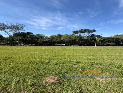Terreno para Venda, em Pen�polis, bairro 