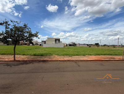 Terreno para Venda, em Pen�polis, bairro Residencial Garden Village